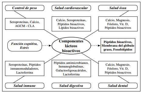 bioactivos de la leche